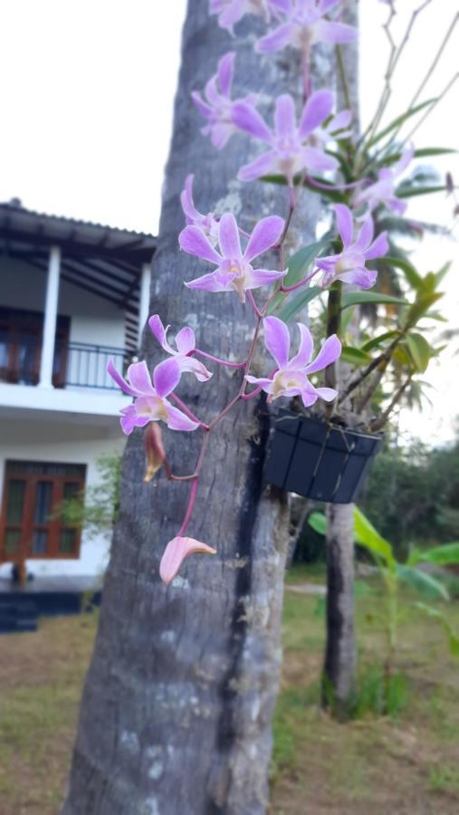 Mellow Villa Tangalle Eksteriør bilde